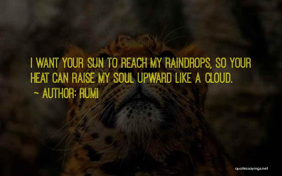 Sun Cloud Quotes By Rumi