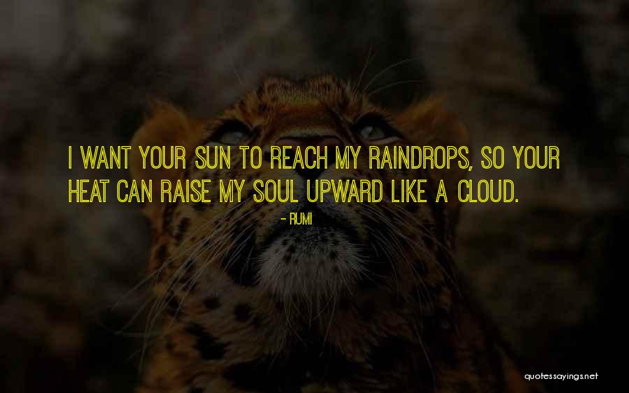 Sun Cloud Quotes By Rumi