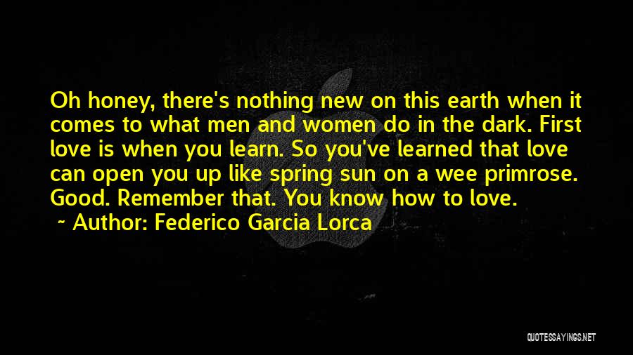 Sun Comes Up Quotes By Federico Garcia Lorca