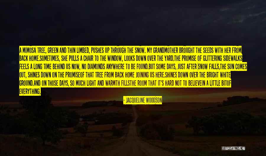 Sun Comes Up Quotes By Jacqueline Woodson