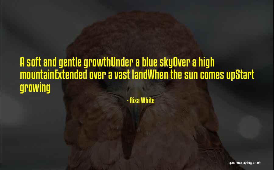 Sun Comes Up Quotes By Rixa White