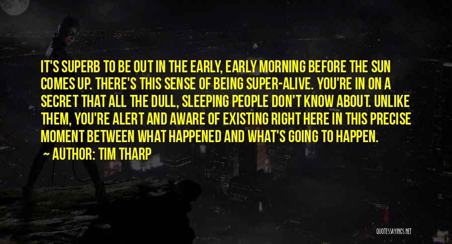 Sun Comes Up Quotes By Tim Tharp