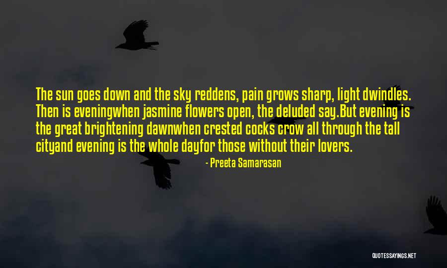 Sun Dawn Quotes By Preeta Samarasan Sun Dawn Quotes By Preeta Samarasan