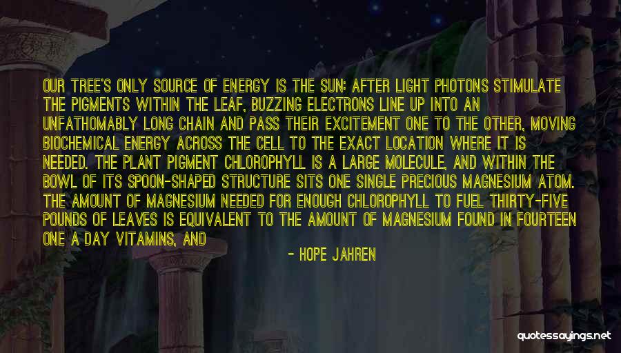 Sun Energy Quotes By Hope Jahren Sun Energy Quotes By Hope Jahren