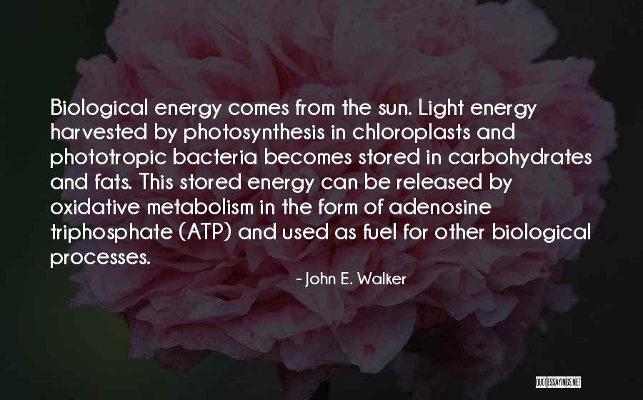 Sun Energy Quotes By John E. Walker Sun Energy Quotes By John E. Walker