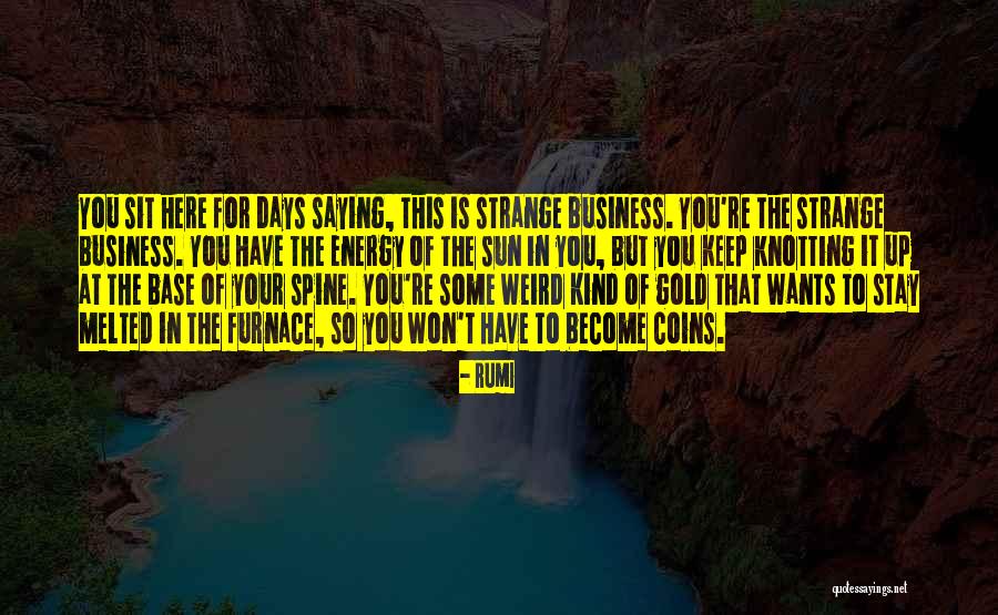 Sun Energy Quotes By Rumi Sun Energy Quotes By Rumi