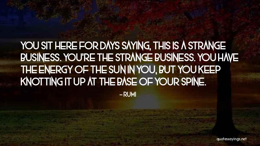 Sun Energy Quotes By Rumi Sun Energy Quotes By Rumi
