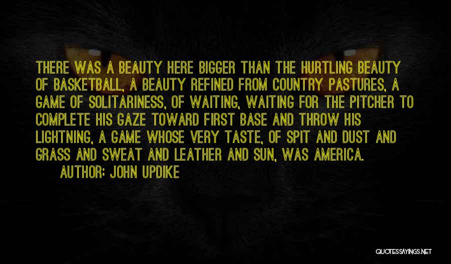 Sun Gaze Quotes By John Updike