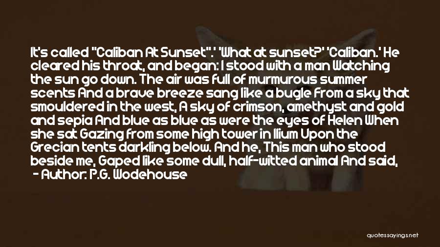 Sun Gazing Quotes By P.G. Wodehouse