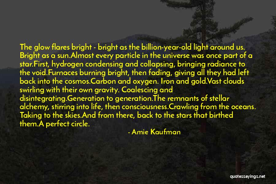 Sun Giving Life Quotes By Amie Kaufman Sun Giving Life Quotes By Amie Kaufman