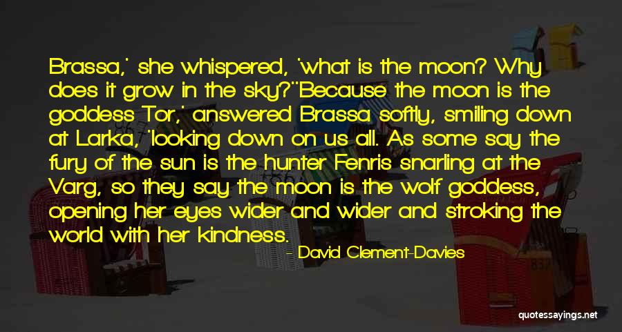 Sun Goddess Quotes By David Clement-Davies