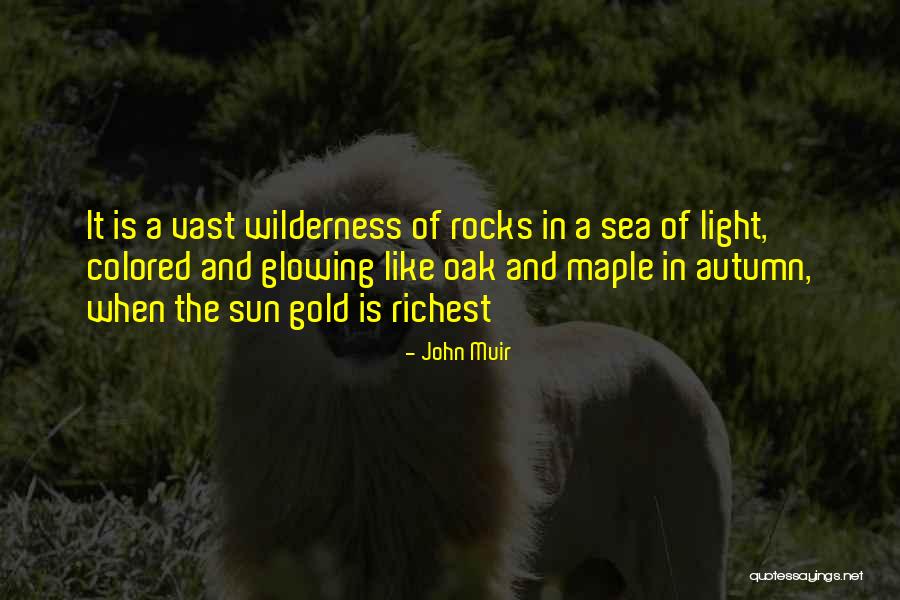 Sun Gold Quotes By John Muir Sun Gold Quotes By John Muir