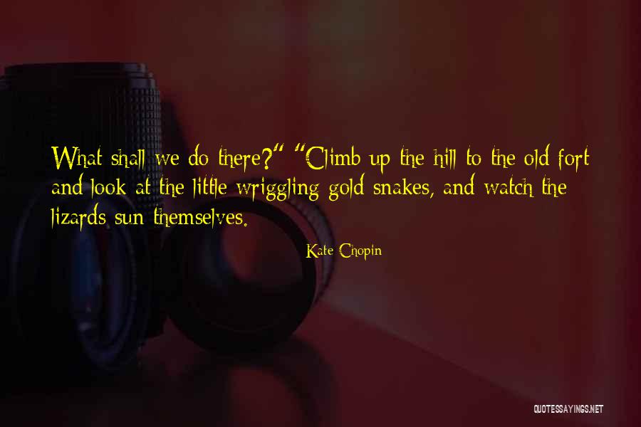 Sun Gold Quotes By Kate Chopin Sun Gold Quotes By Kate Chopin