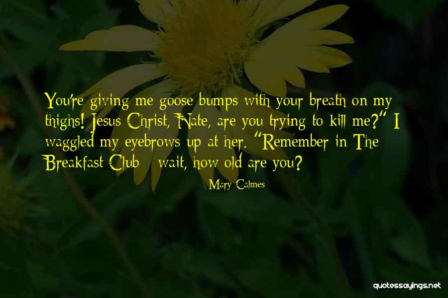 Sun Halo Quotes By Mary Calmes Sun Halo Quotes By Mary Calmes