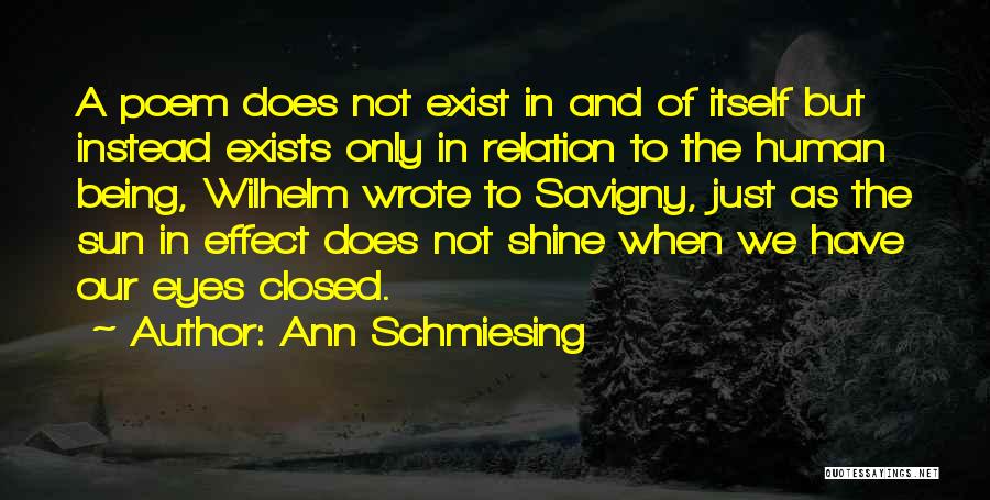 Sun In Eyes Quotes By Ann Schmiesing