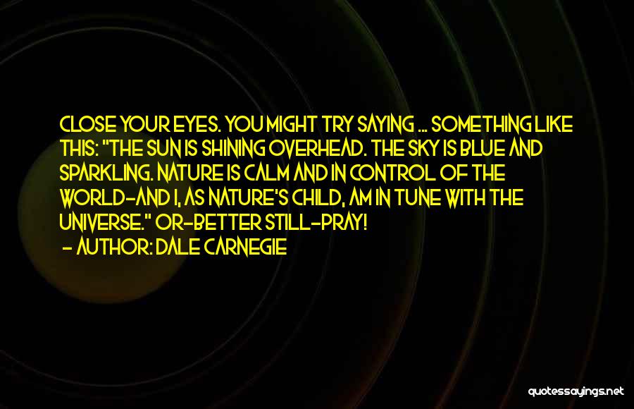 Sun In Eyes Quotes By Dale Carnegie