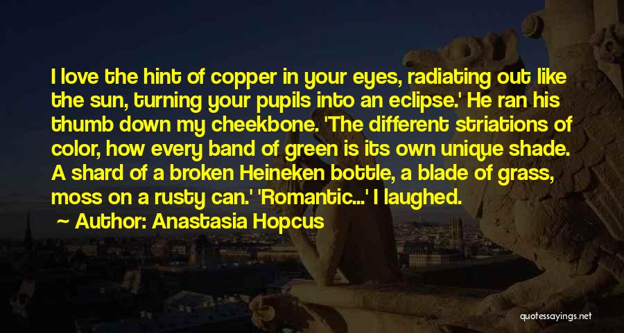 Sun In My Eyes Quotes By Anastasia Hopcus