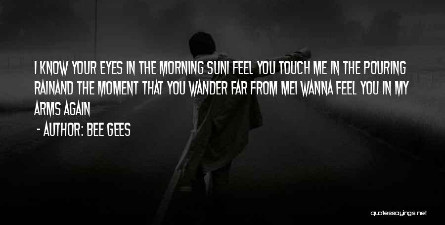 Sun In My Eyes Quotes By Bee Gees