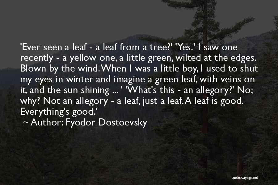 Sun In My Eyes Quotes By Fyodor Dostoevsky