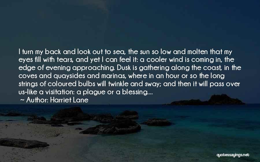 Sun In My Eyes Quotes By Harriet Lane