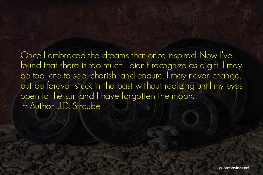 Sun In My Eyes Quotes By J.D. Stroube
