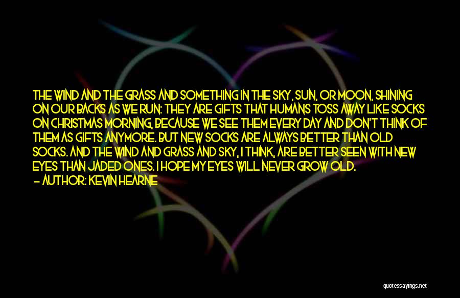 Sun In My Eyes Quotes By Kevin Hearne