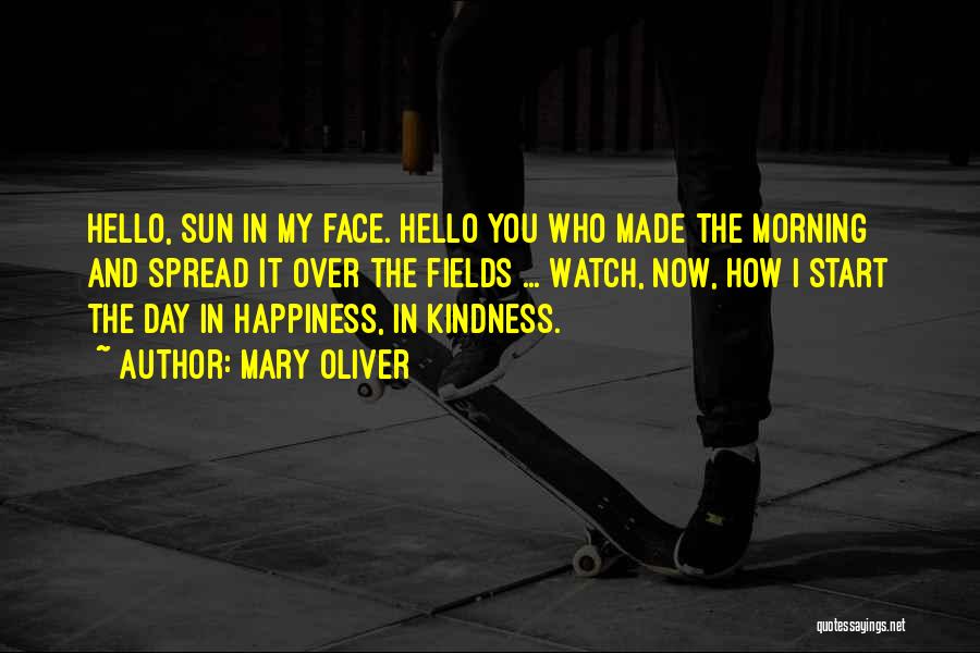 Sun In My Face Quotes By Mary Oliver