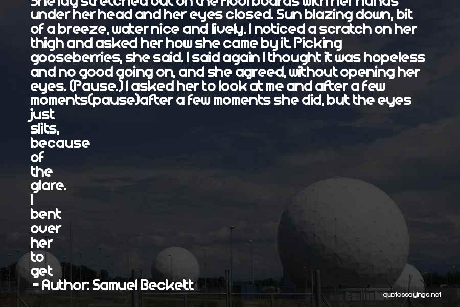 Sun In My Face Quotes By Samuel Beckett