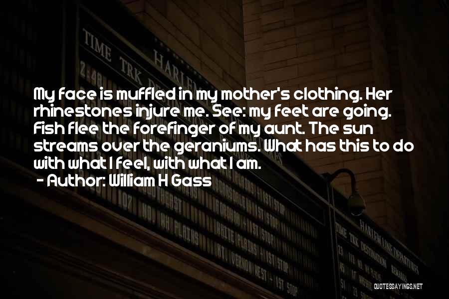 Sun In My Face Quotes By William H Gass
