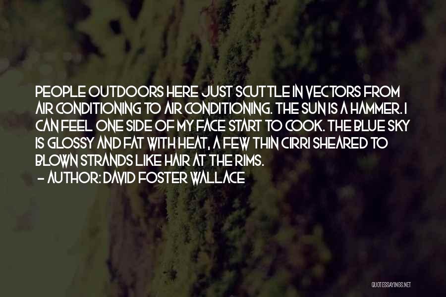 Sun In My Hair Quotes By David Foster Wallace