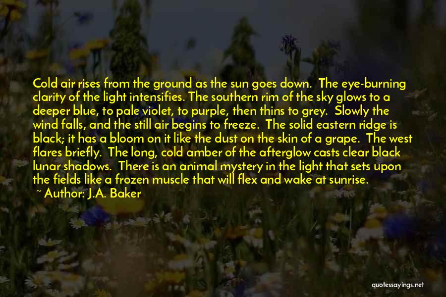 Sun In The Sky Quotes By J.A. Baker