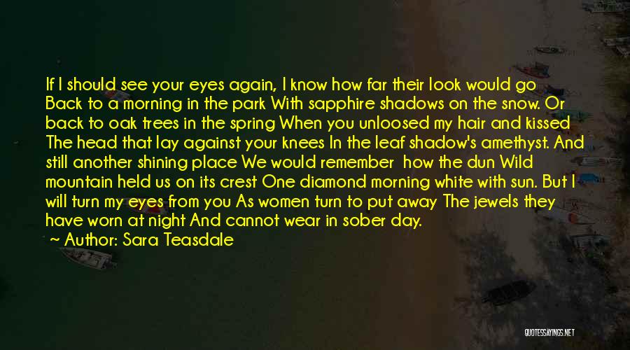 Sun In Your Eye Quotes By Sara Teasdale