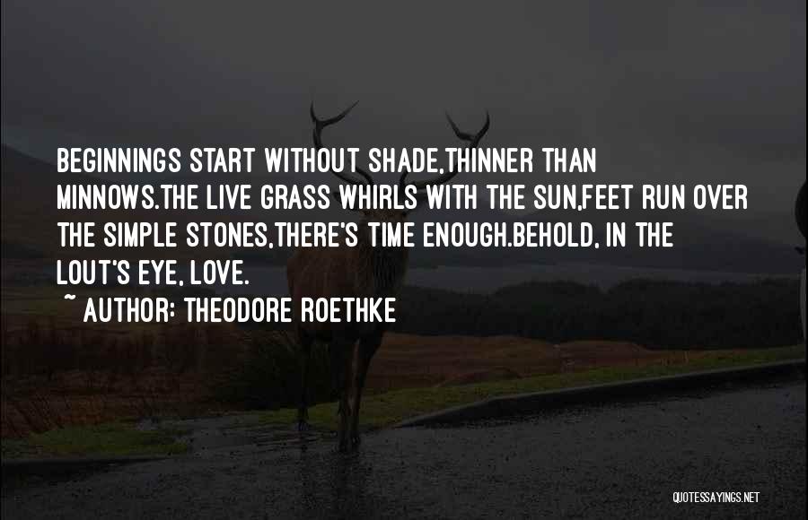 Sun In Your Eye Quotes By Theodore Roethke