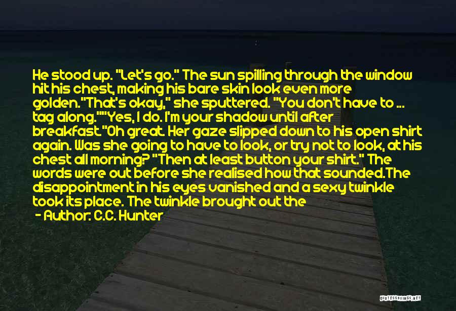 Sun In Your Eyes Quotes By C.C. Hunter