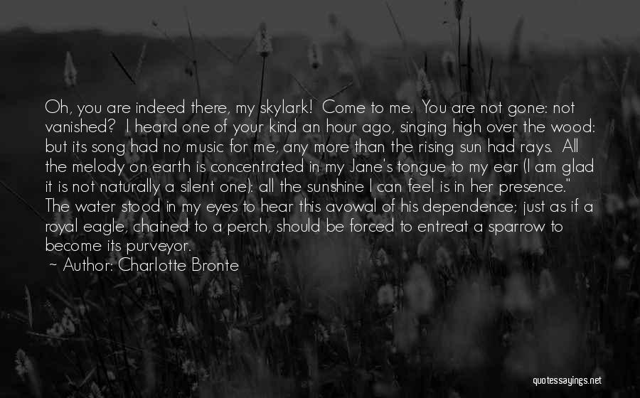 Sun In Your Eyes Quotes By Charlotte Bronte