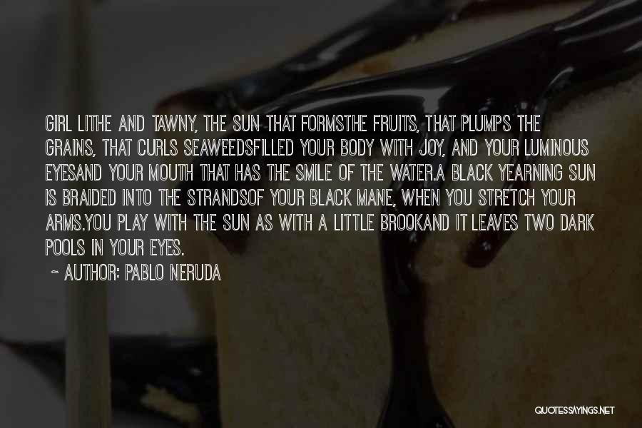 Sun In Your Eyes Quotes By Pablo Neruda