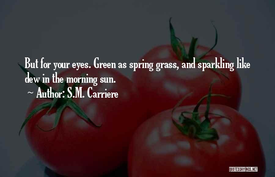 Sun In Your Eyes Quotes By S.M. Carriere