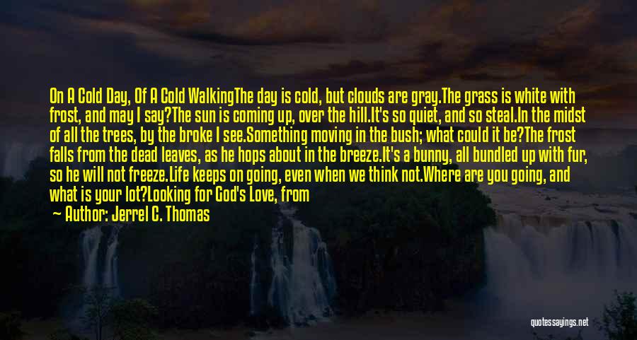 Sun Is Coming Quotes By Jerrel C. Thomas