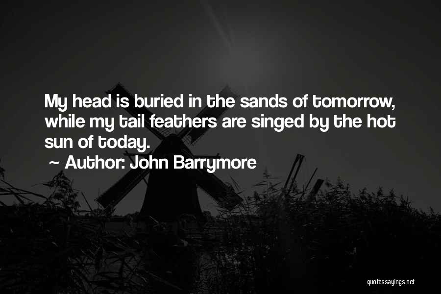Sun Is Hot Quotes By John Barrymore