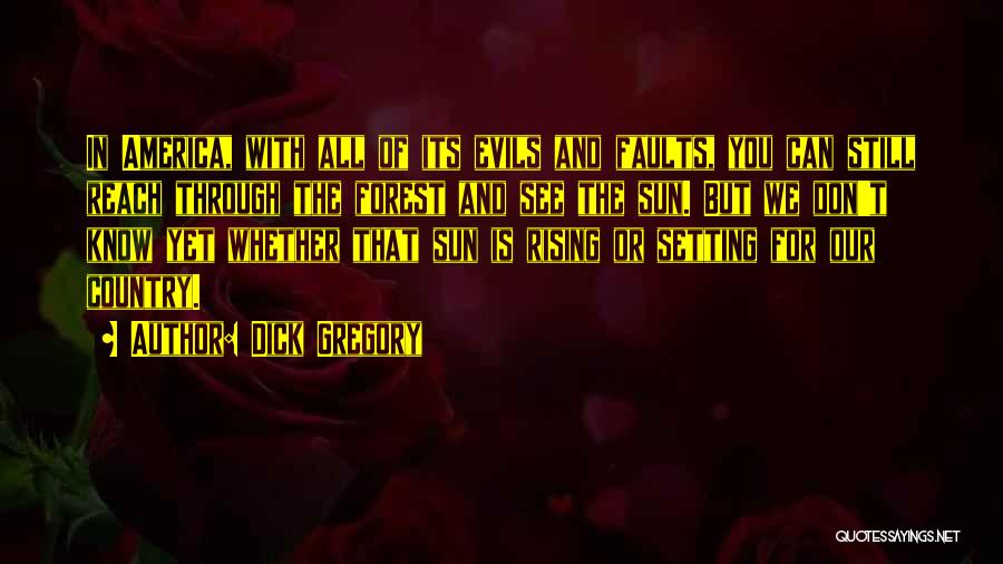 Sun Is Rising Quotes By Dick Gregory