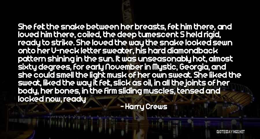 Sun Is So Hot Quotes By Harry Crews