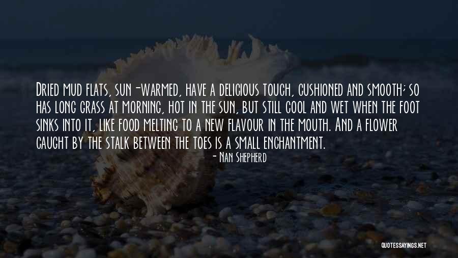 Sun Is So Hot Quotes By Nan Shepherd