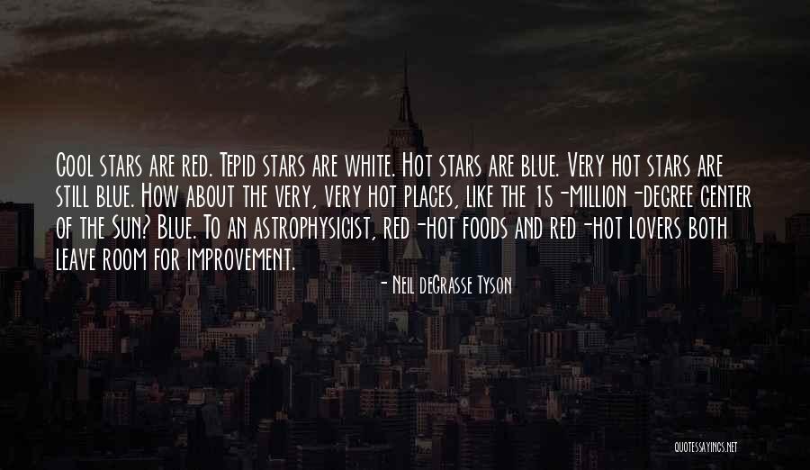 Sun Is So Hot Quotes By Neil DeGrasse Tyson