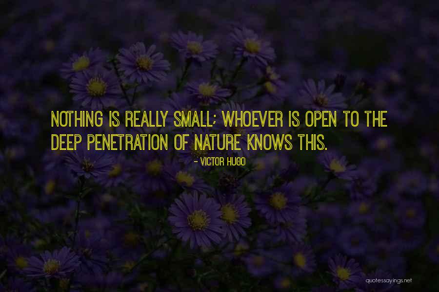 Sun Kil Moon Quotes By Victor Hugo Sun Kil Moon Quotes By Victor Hugo