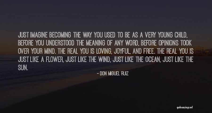 Sun Loving Quotes By Don Miguel Ruiz