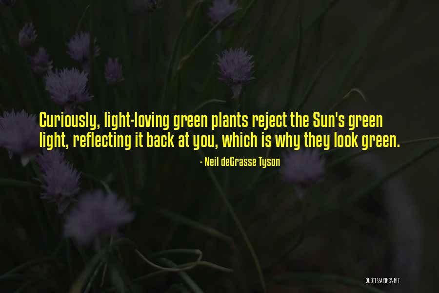 Sun Loving Quotes By Neil DeGrasse Tyson Sun Loving Quotes By Neil DeGrasse Tyson
