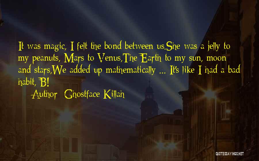 Sun Moon And Earth Quotes By Ghostface Killah
