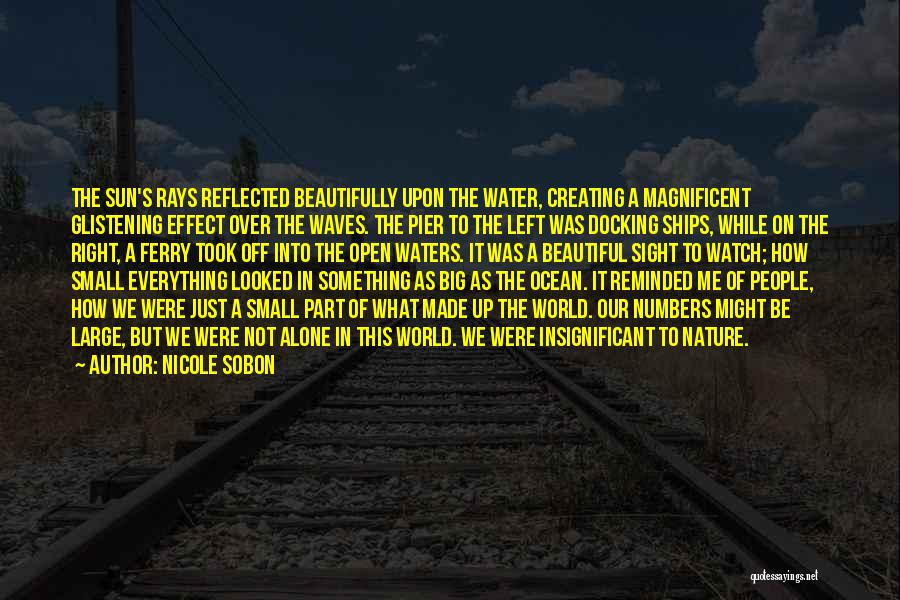 Sun On The Water Quotes By Nicole Sobon