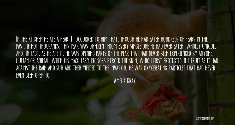 Sun Or Rain Quotes By Amelia Gray Sun Or Rain Quotes By Amelia Gray