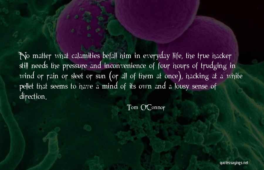 Sun Or Rain Quotes By Tom O'Connor Sun Or Rain Quotes By Tom O'Connor